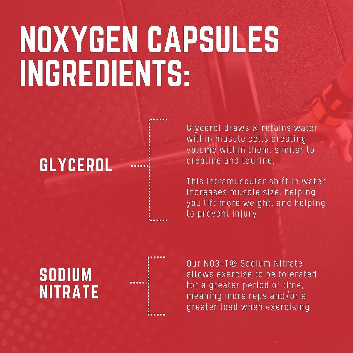 Noxygen Purus Labs Liquid Capsules Pre-Workout Accelerator | Nitric Oxide Pump Pills | Blood Flow & Oxygen Amplifier | 30 Servings, 90 Capsules